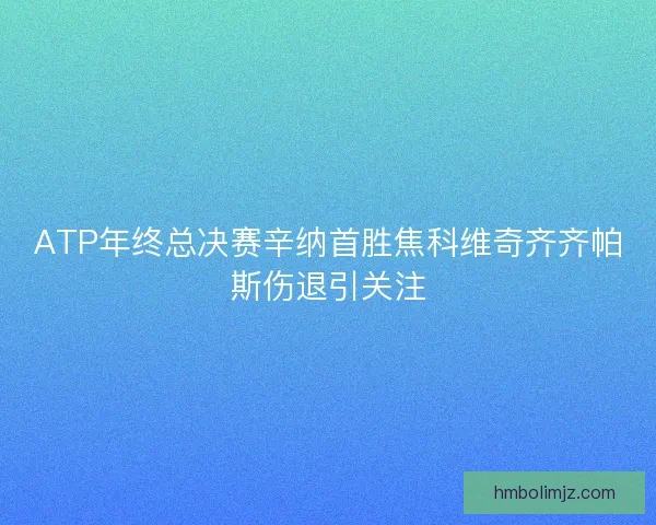 ATP年终总决赛辛纳首胜焦科维奇齐齐帕斯伤退引关注